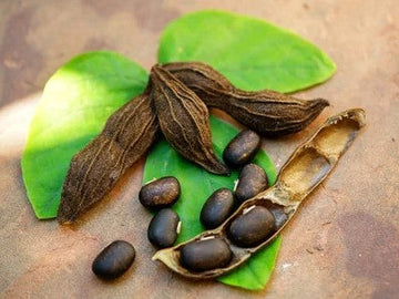 The Benefits of Mucuna